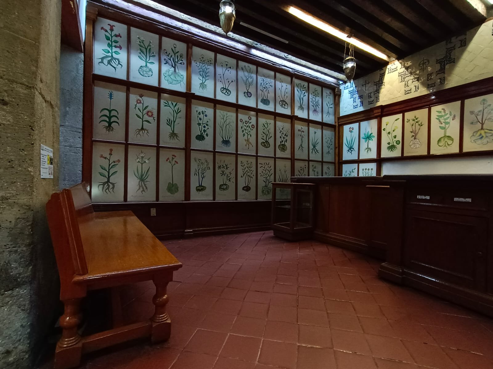 Retrato Profesional - [Nombre]